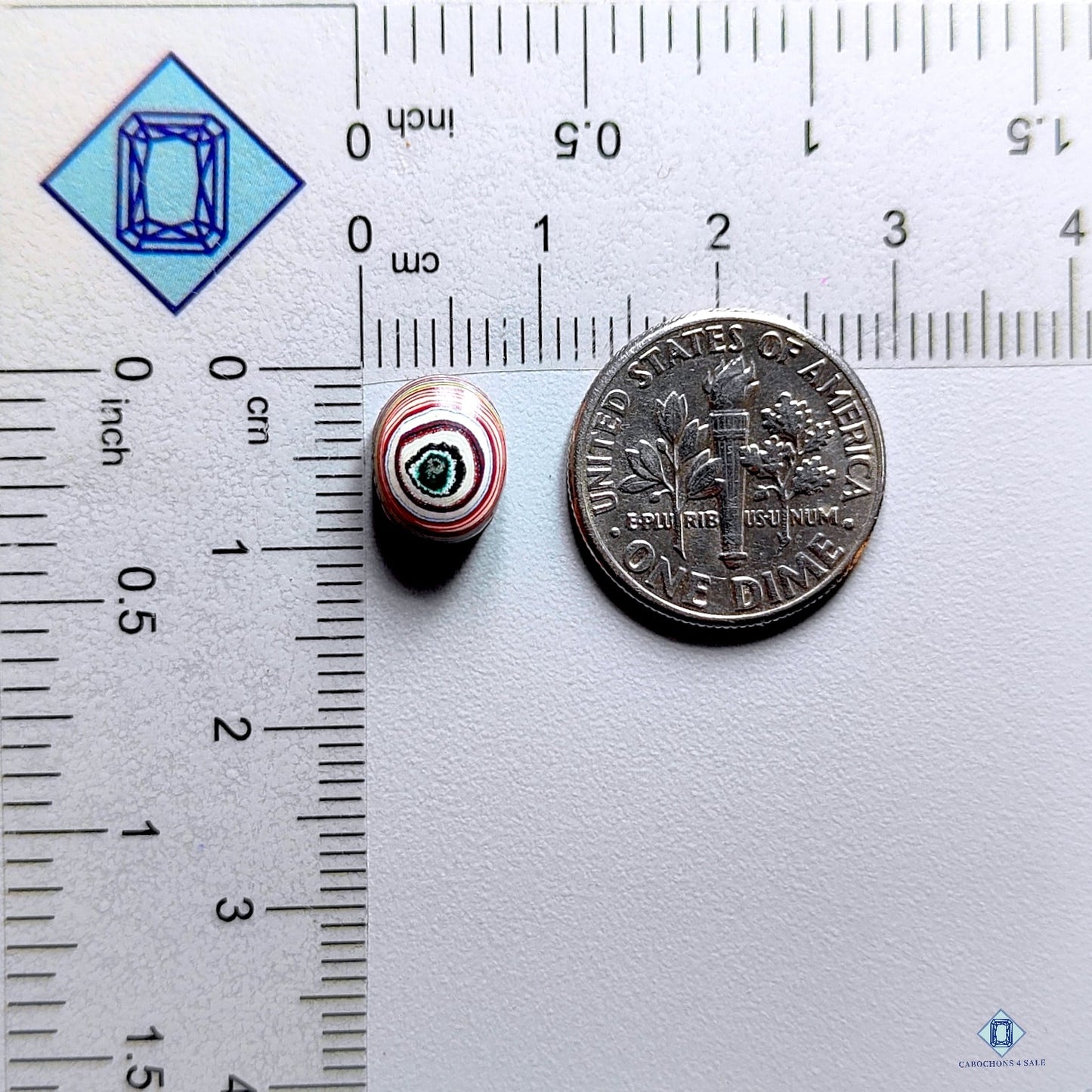 Fordite Round Cabochons