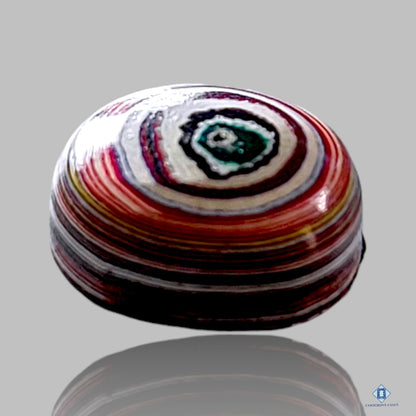 Fordite Round Cabochons