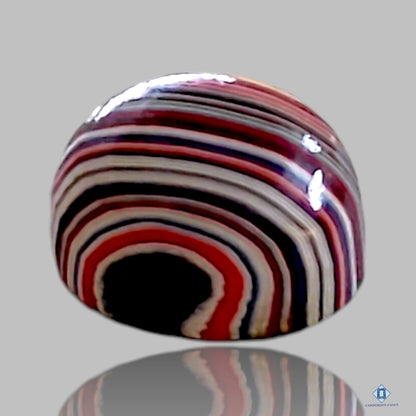 Fordite Oval Cabochons