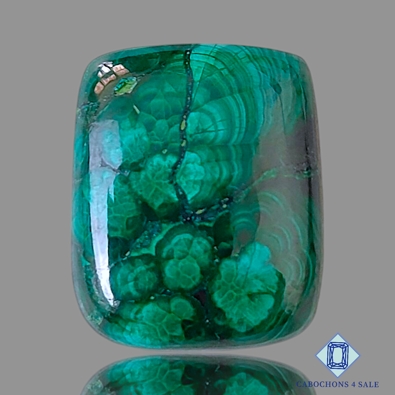 Forest Malachite
