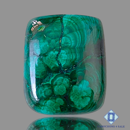 Forest Malachite
