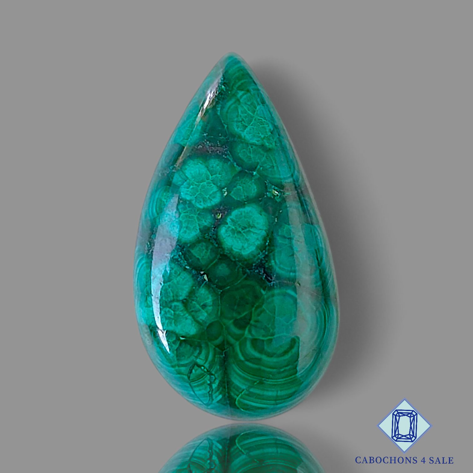 Forest Malachite