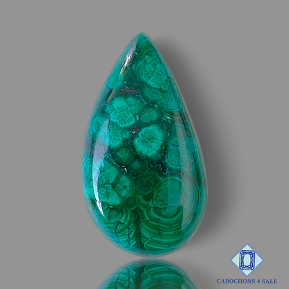 Forest Malachite