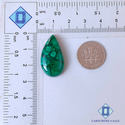 Forest Malachite Pear Cabochons 26*14*6mm