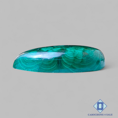 Forest Malachite Pear Cabochons 26*14*6mm