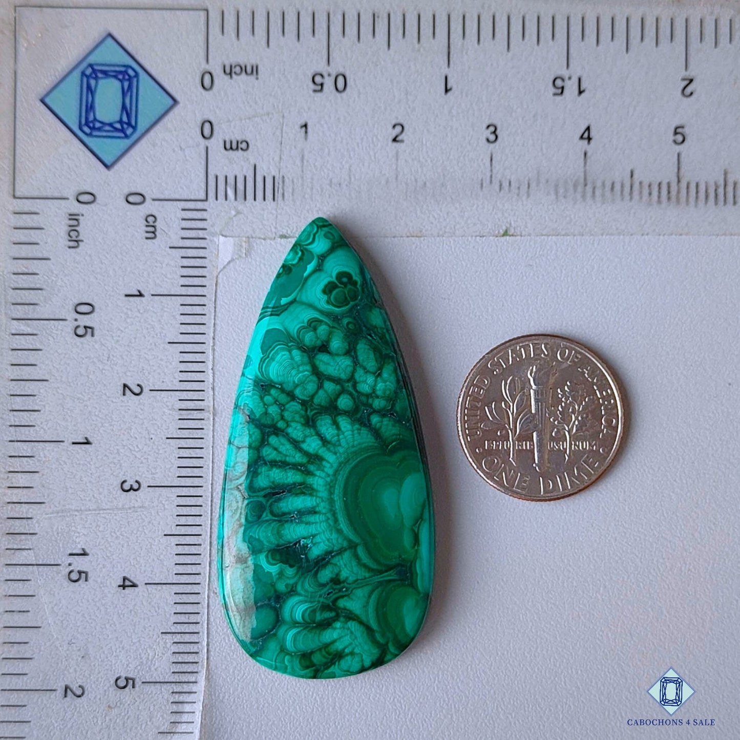 Forest Malachite