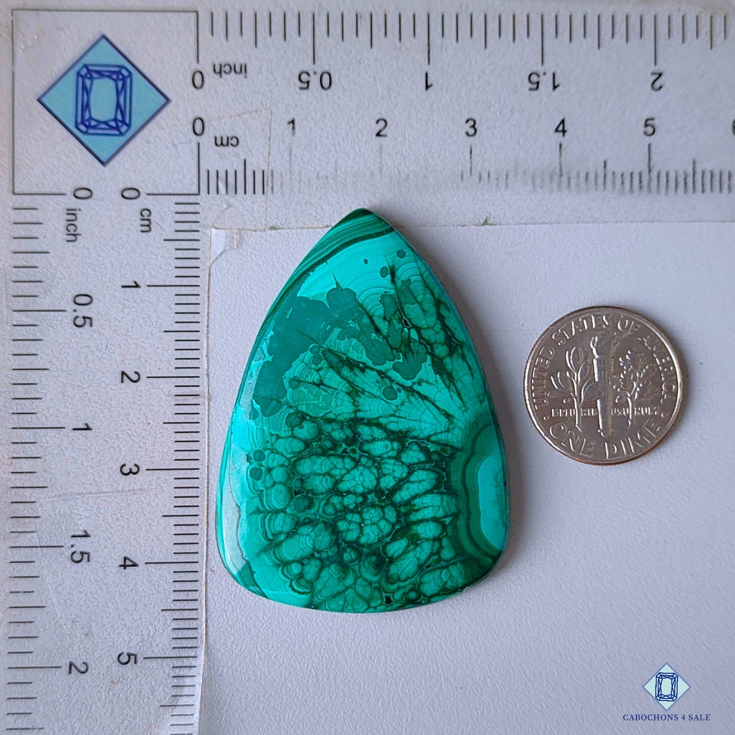 Forest Malachite