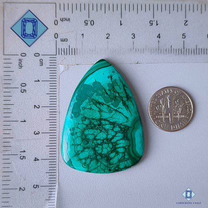Forest Malachite