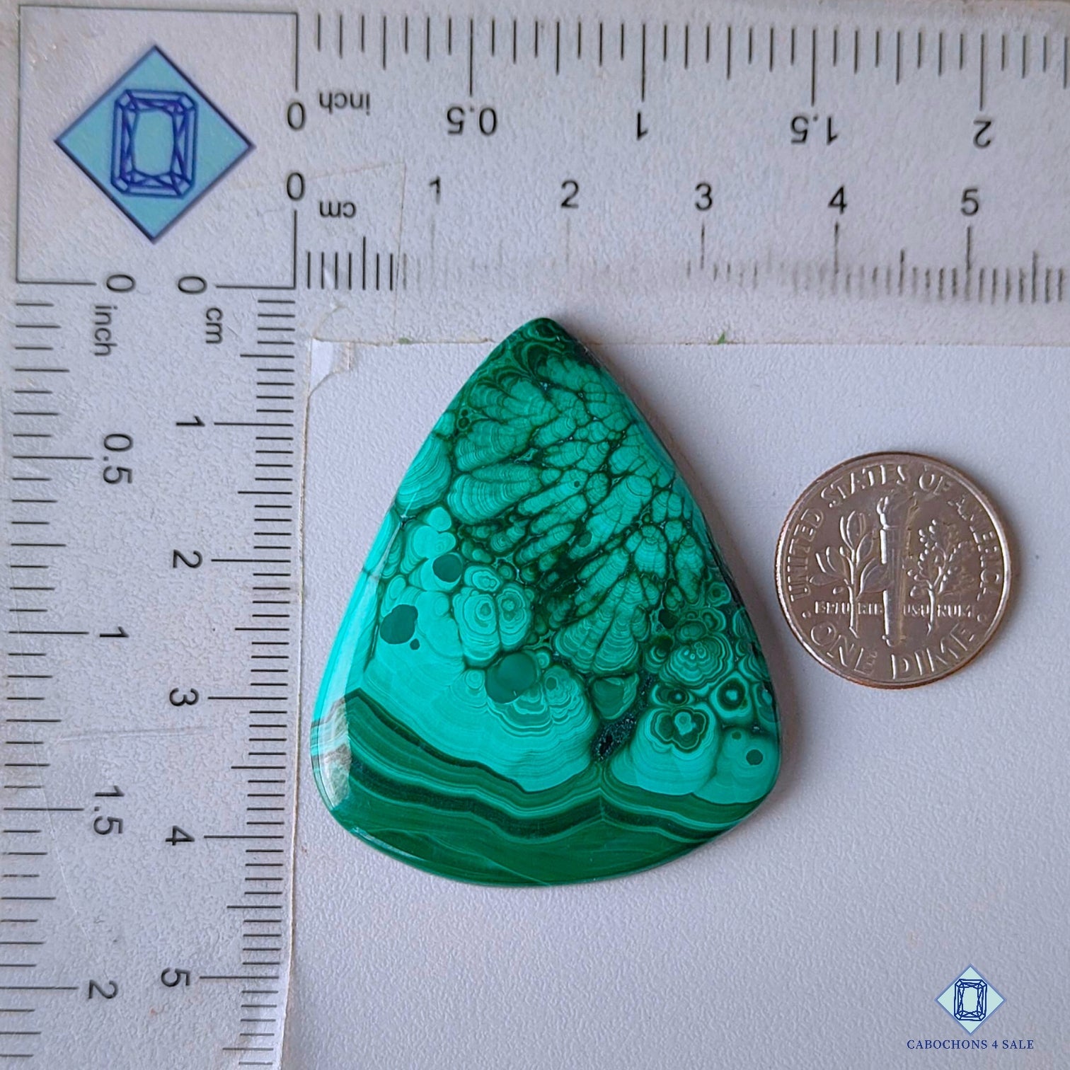 Forest Malachite