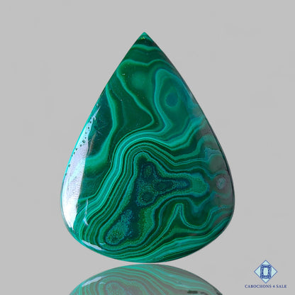 Forest Malachite