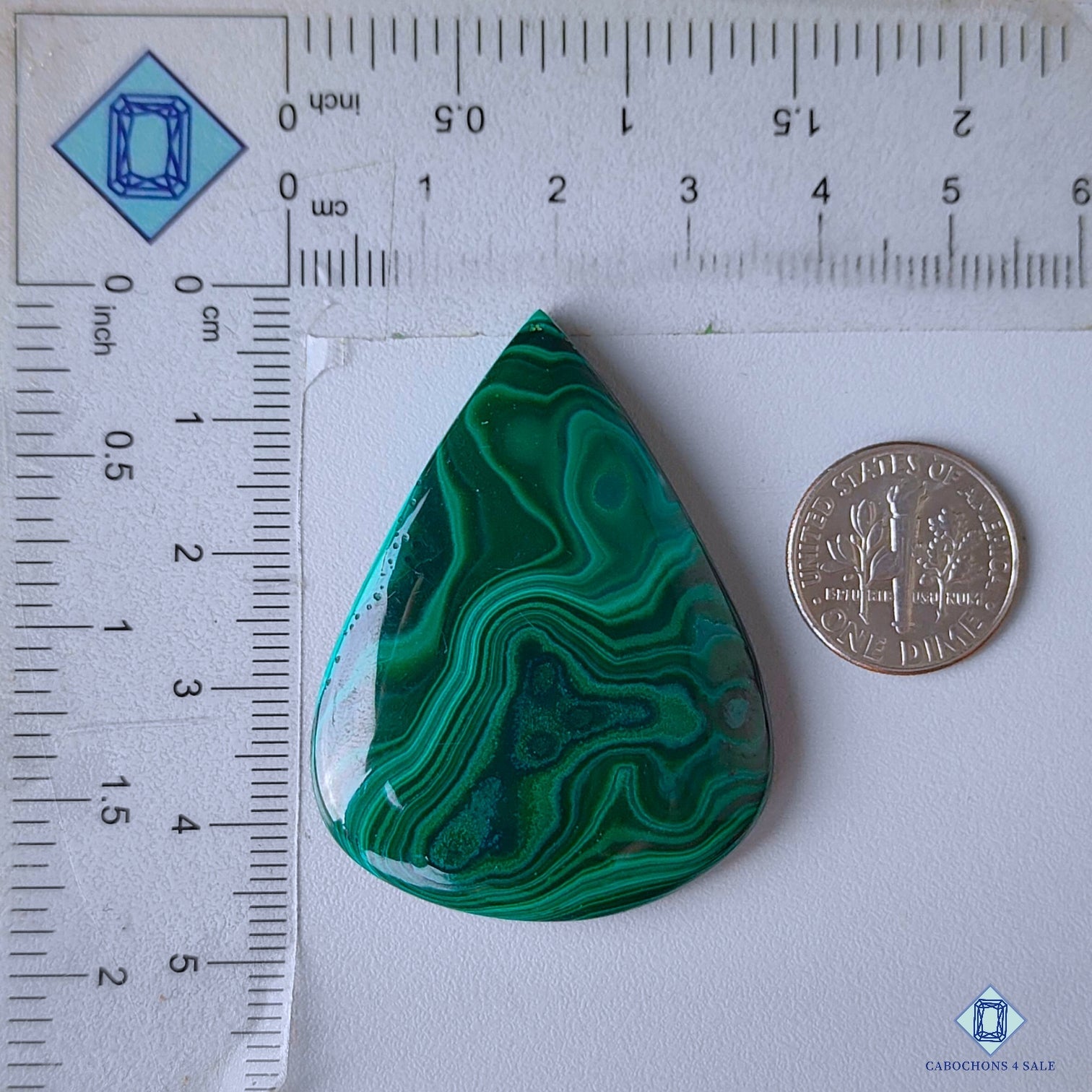 Forest Malachite