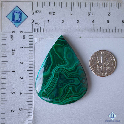 Forest Malachite