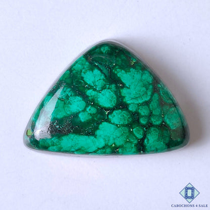 Forest Malachite