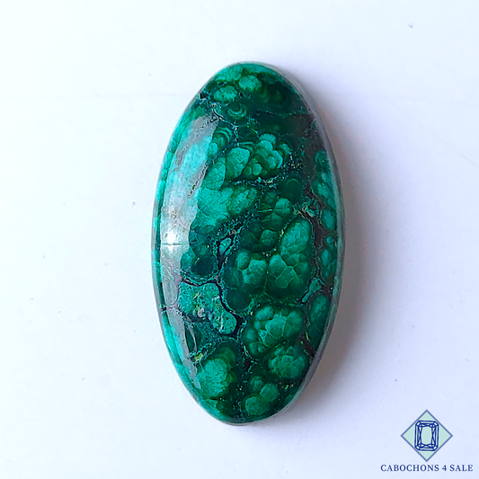 Forest Malachite