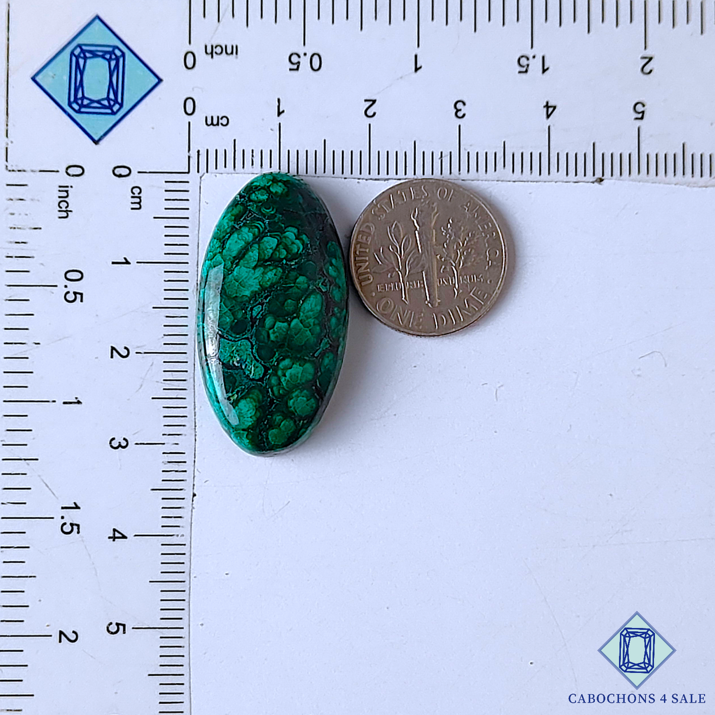Forest Malachite