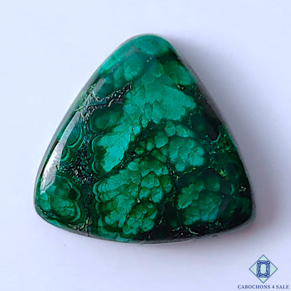 Forest Malachite