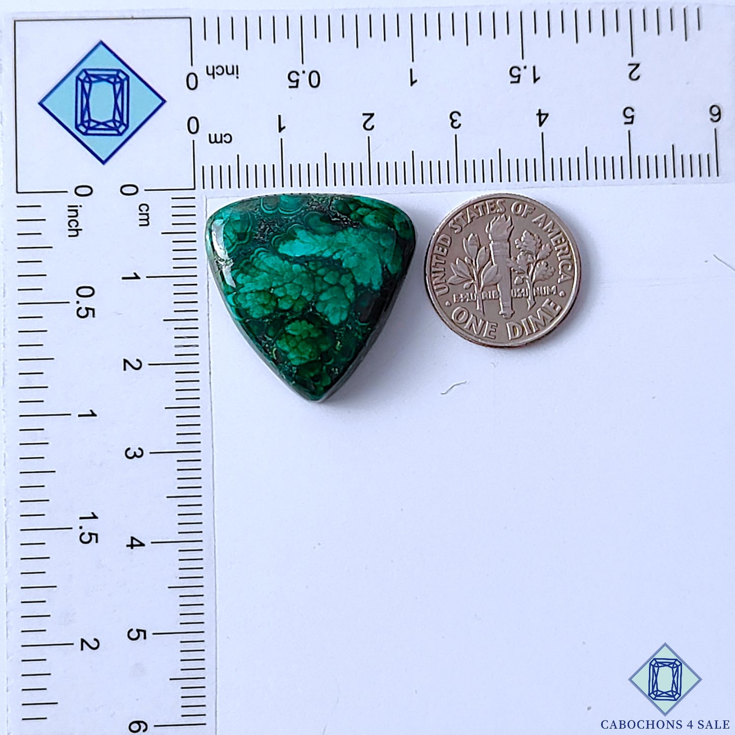 Forest Malachite