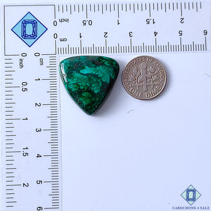 Forest Malachite