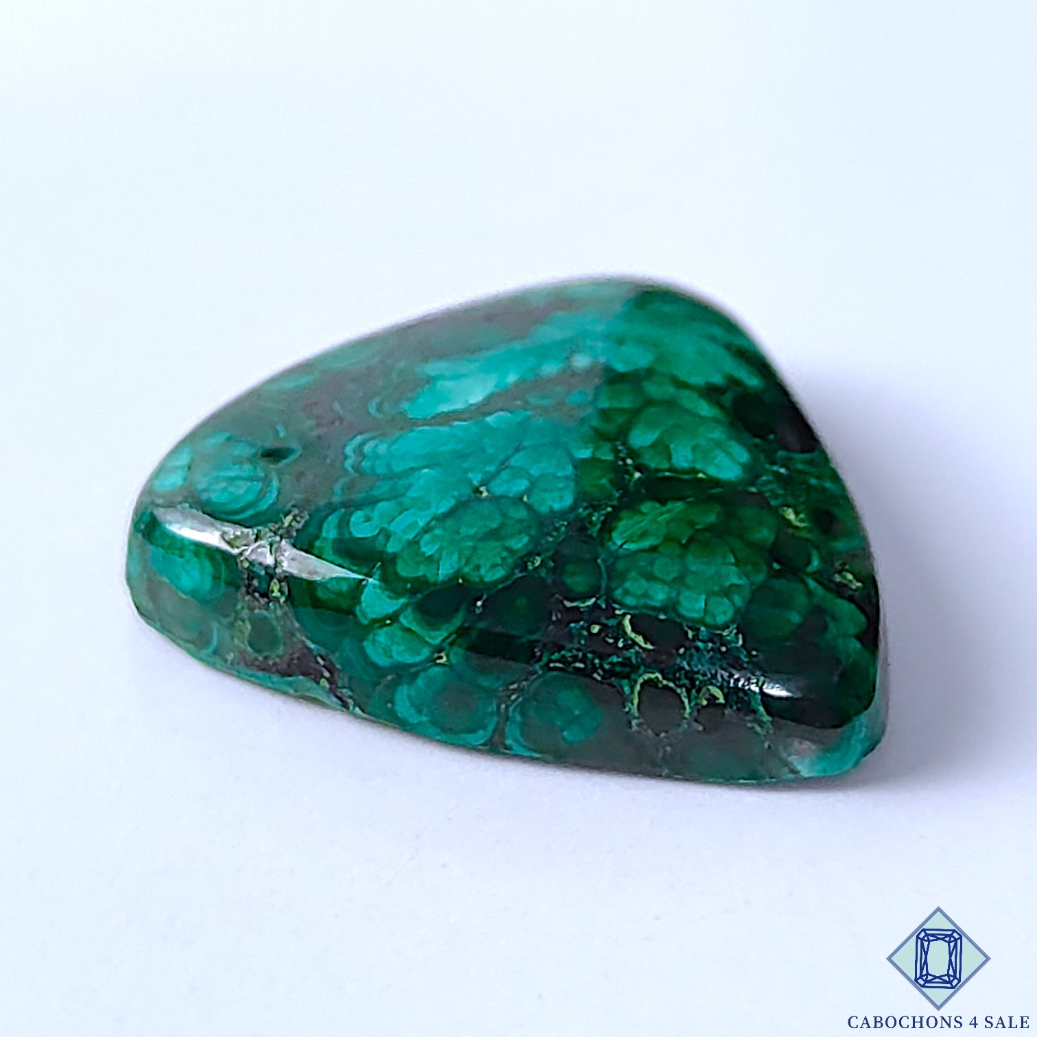 Forest Malachite