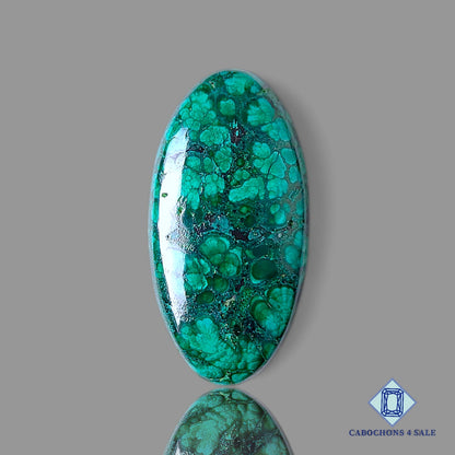Forest Malachite