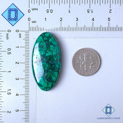 Natural Forest Malachite Gemstone  Oval Cabochons 37*19*6mm from Democratic Republic of the Congo available for sale