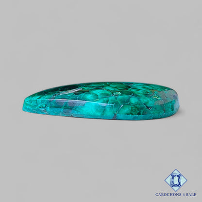 Natural Forest Malachite Gemstone  Pear Cabochons 29*22*5mm from Democratic Republic of the Congo available for sale