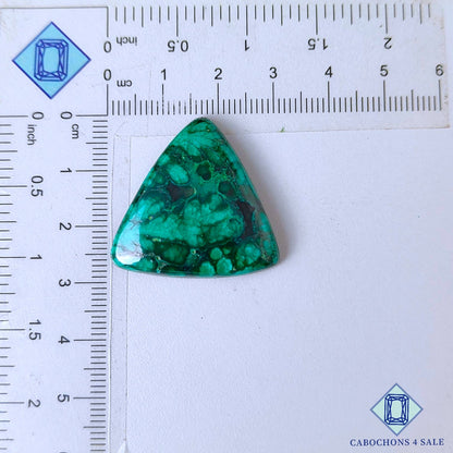 Cabujones triangulares de malaquita de bosque natural de 29 x 28 x 5 mm, de la República Democrática del Congo, disponibles para la venta.