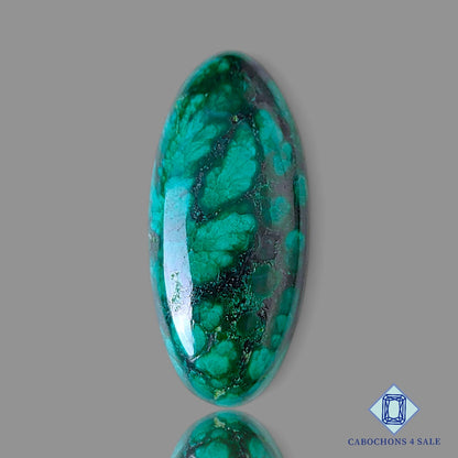 Forest Malachite