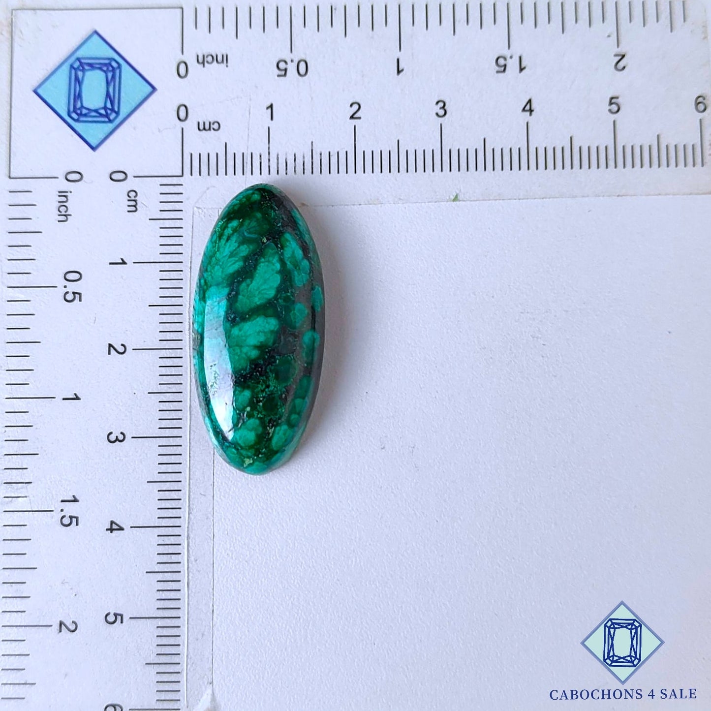 Natural Forest Malachite Gemstone  Oval Cabochons 33*14*7mm from Democratic Republic of the Congo available for sale