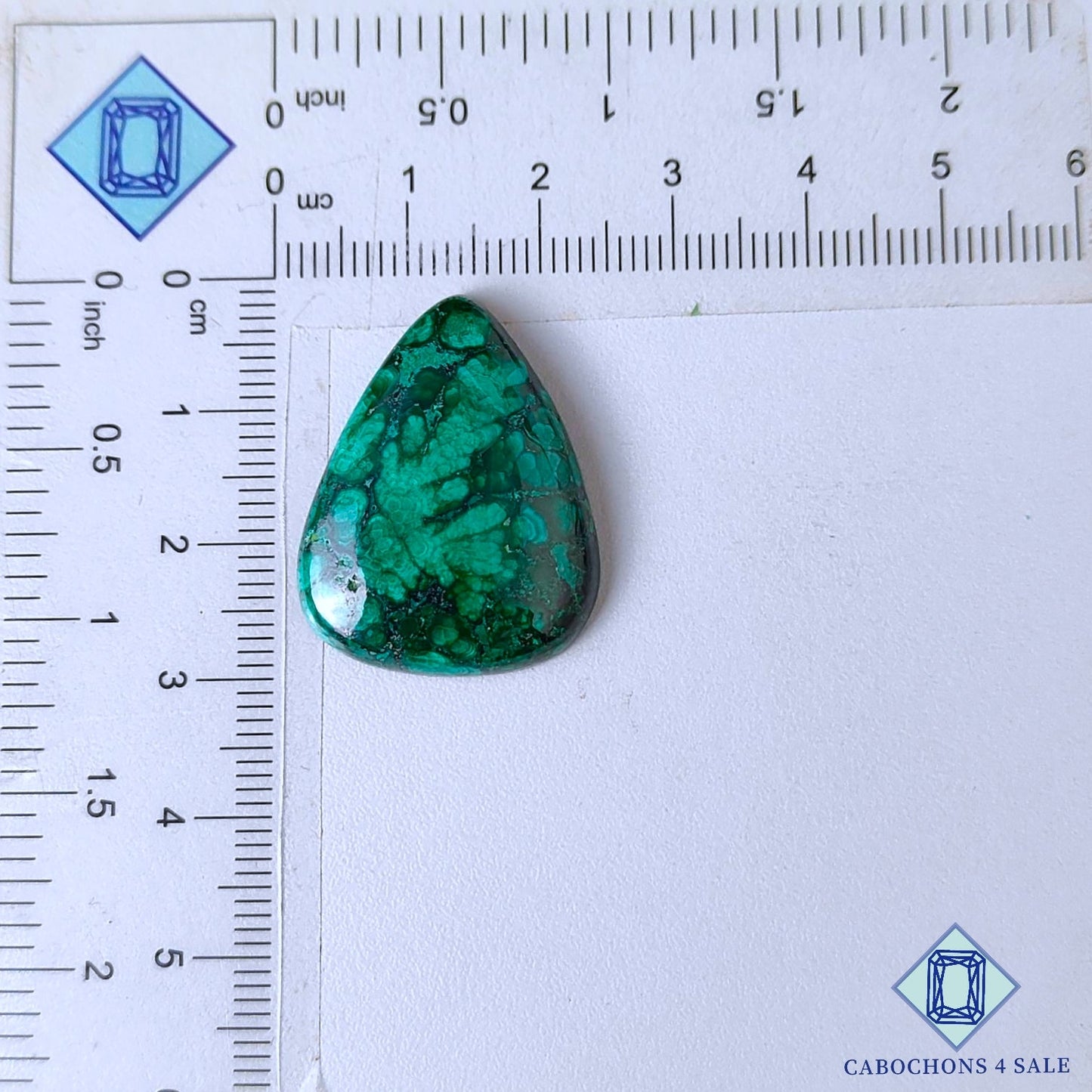 Natural Forest Malachite Gemstone  Pear Cabochons 28*22*5mm from Democratic Republic of the Congo available for sale