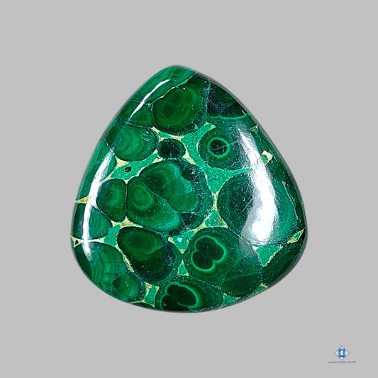 Forest Malachite