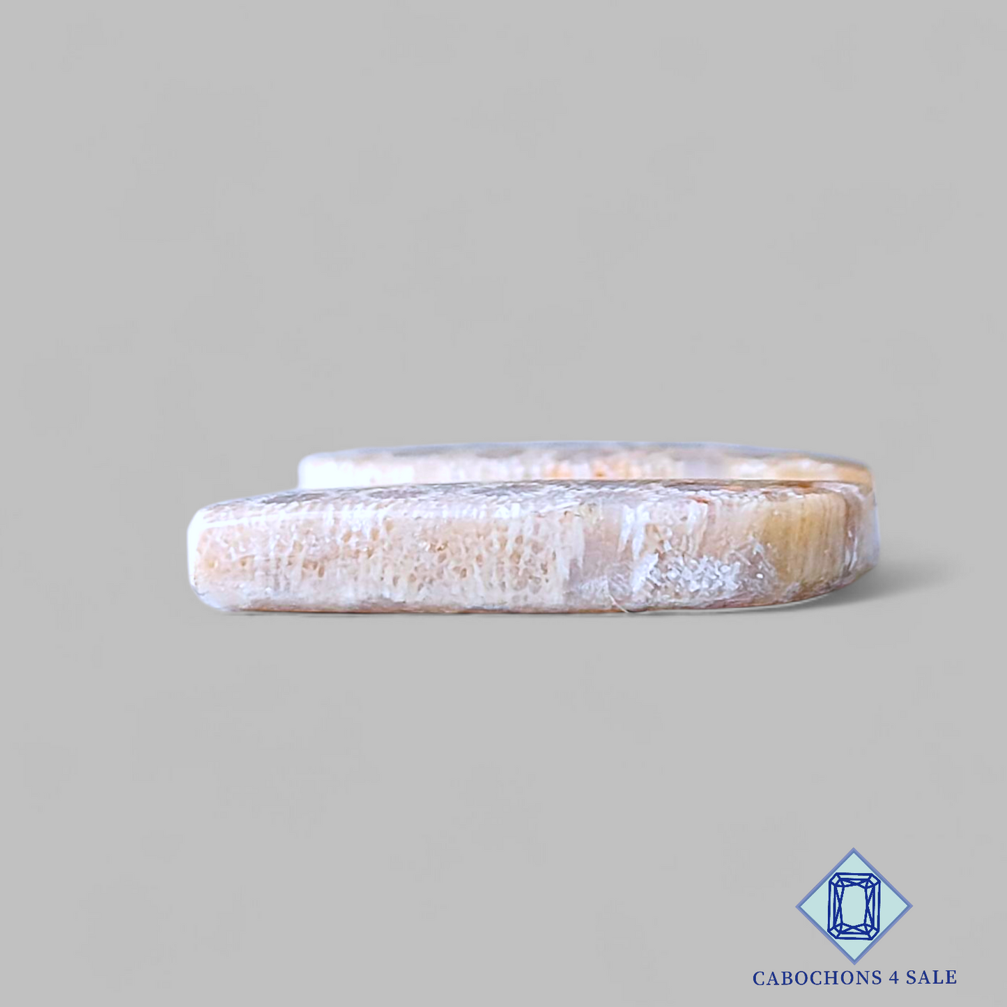 Fossil Coral Fancy Pairs