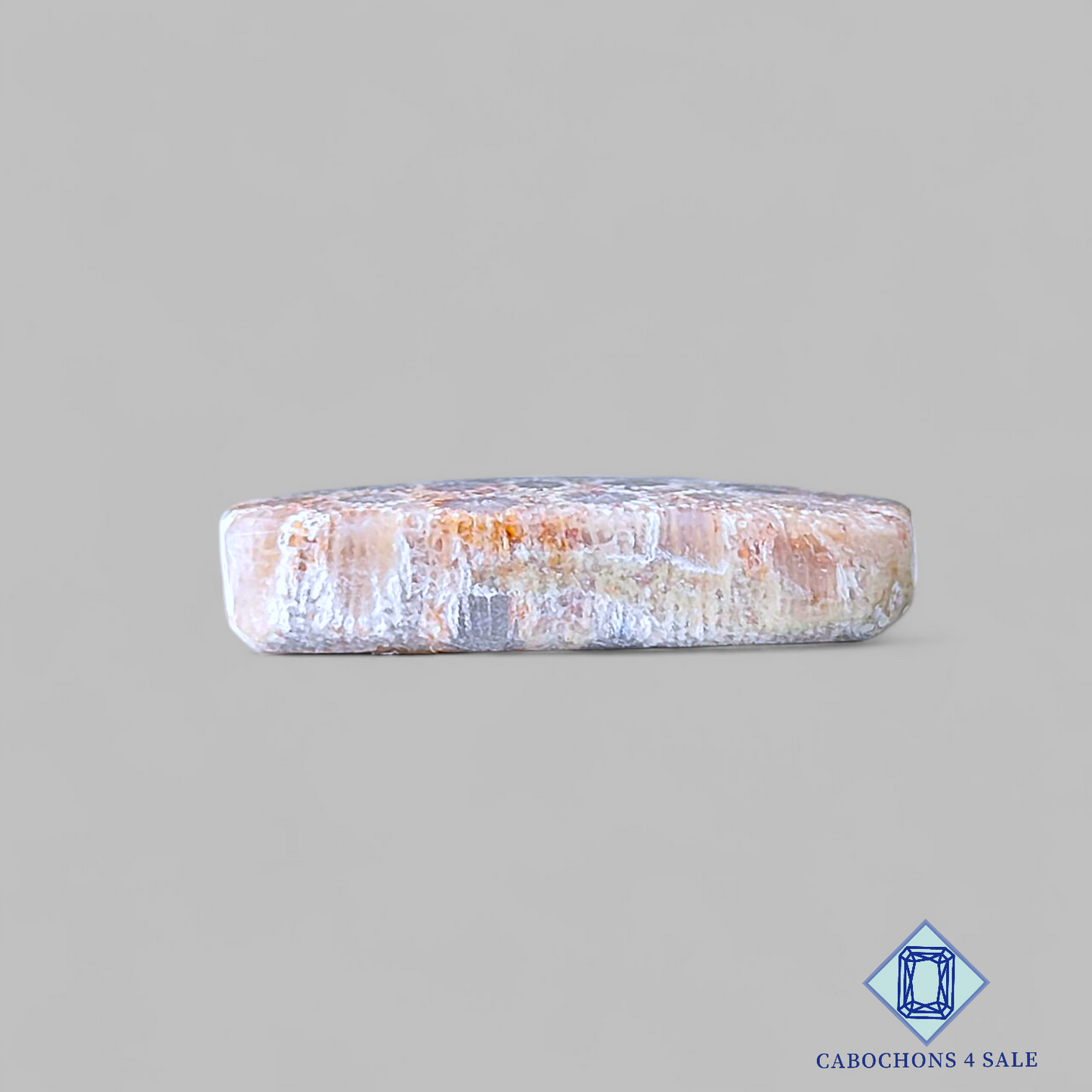 Fossil Coral Rectangle Pairs