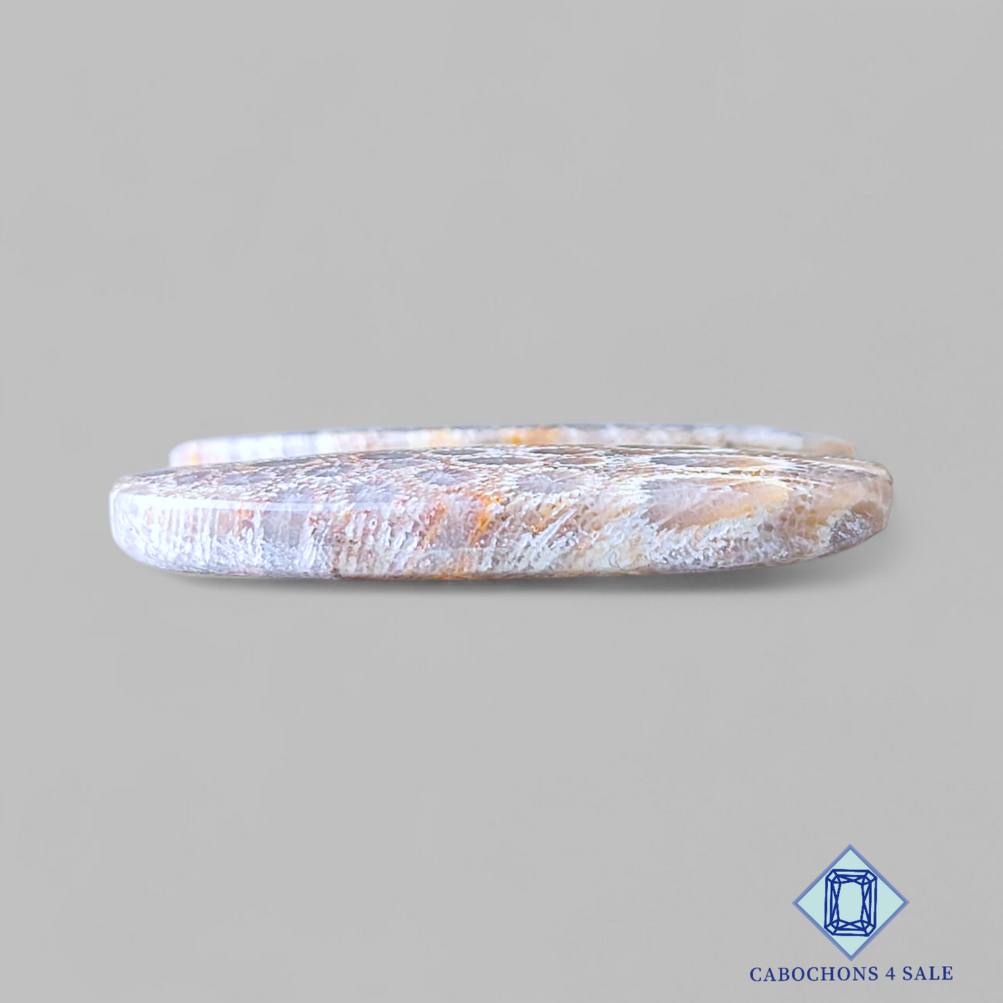 Pares ovalados de corales fósiles