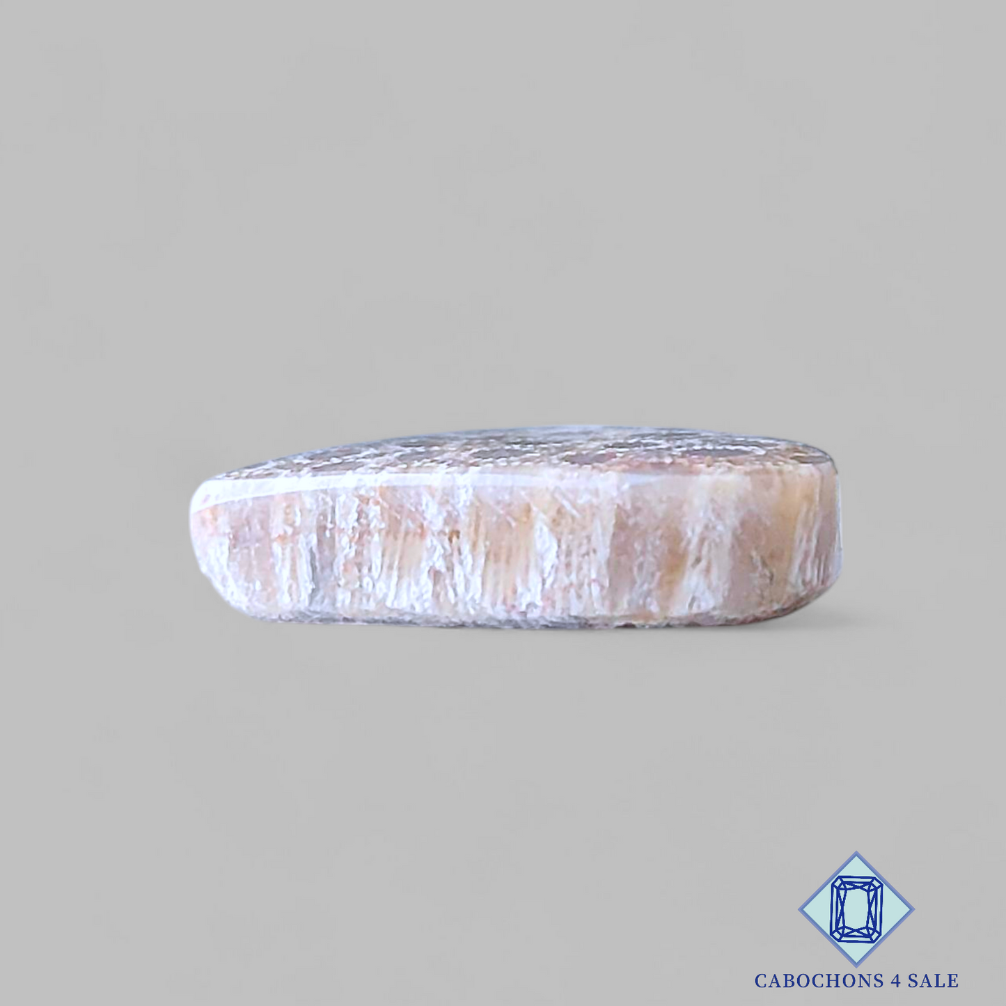 Fossil Coral Pear Pairs