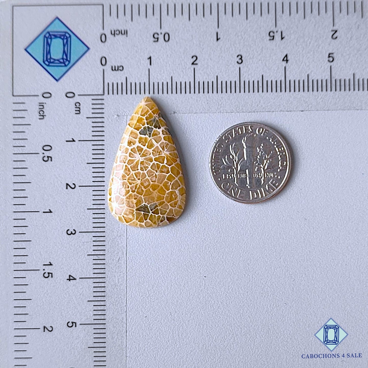 Natural Fossil Coral Gemstone Pear Cabochons 28*17*4mm from Indonesia available for sale