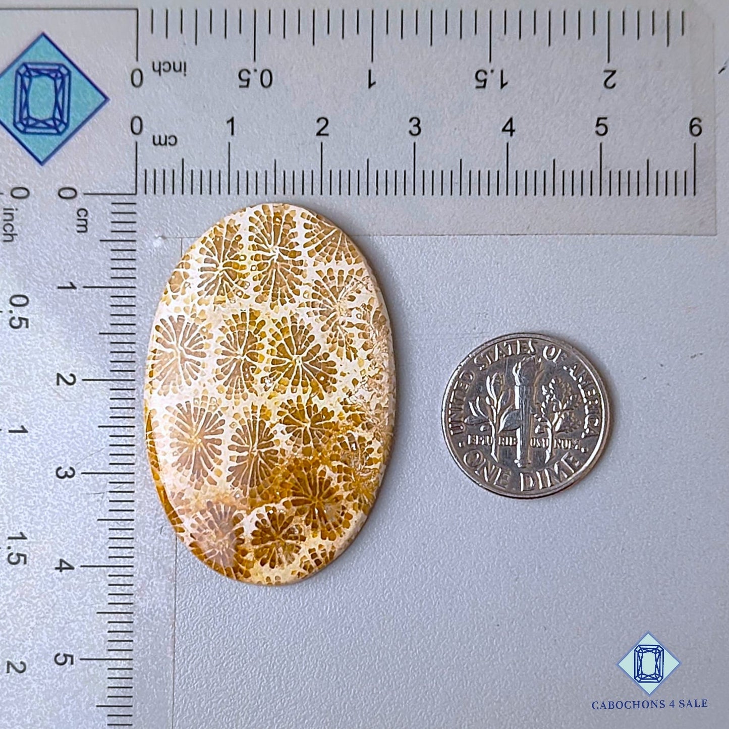 Natural Fossil Coral Gemstone  Oval Cabochons 41*27*4mm from Indonesia  available for sale