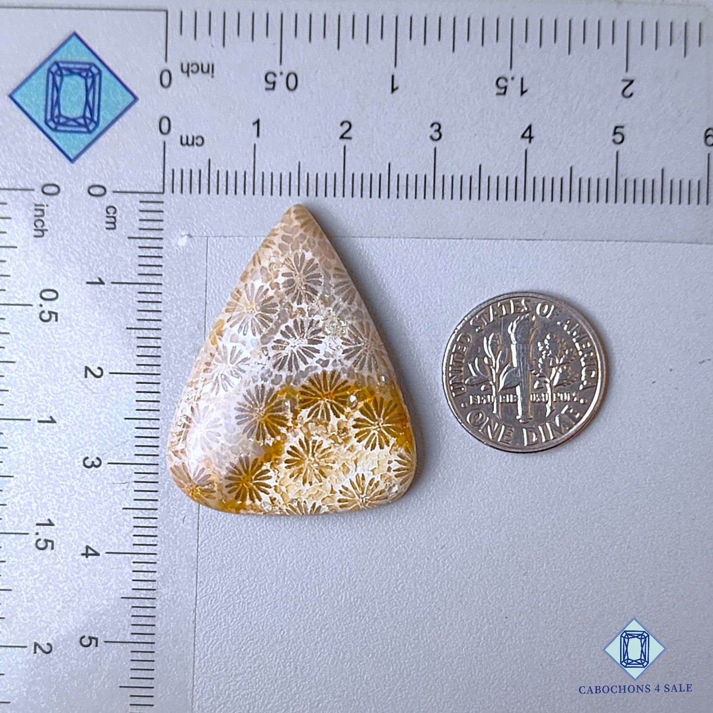 Natural Fossil Coral Gemstone  Triangle Cabochons 34*27*6mm from Indonesia  available for sale