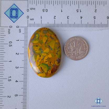 Fruit Jasper