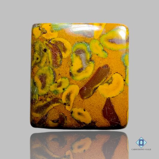 fruit Jasper 