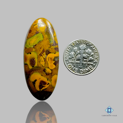 fruit Jasper