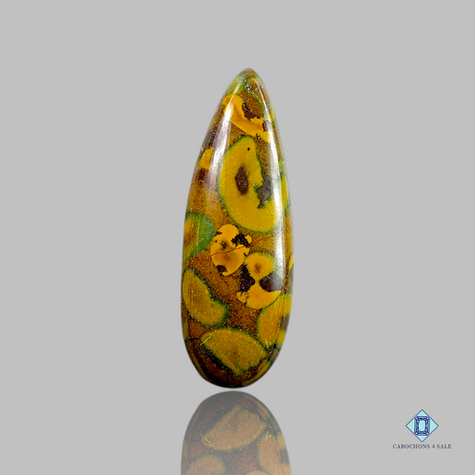 fruit Jasper 