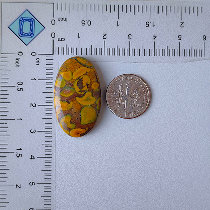 Fruit Jasper