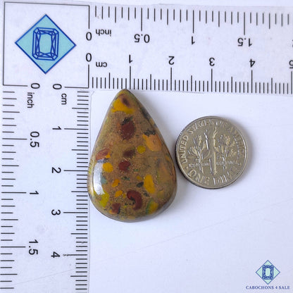 Fruit Jasper