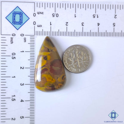 Fruit Jasper