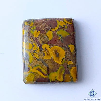 Fruit Jasper