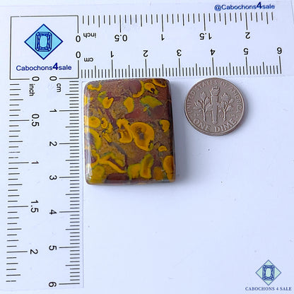 Fruit Jasper
