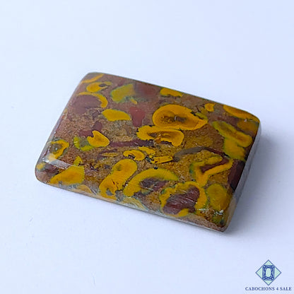Fruit Jasper