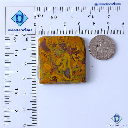 Fruit Jasper