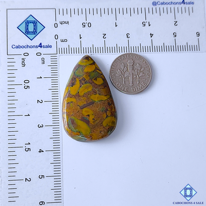 Fruit Jasper